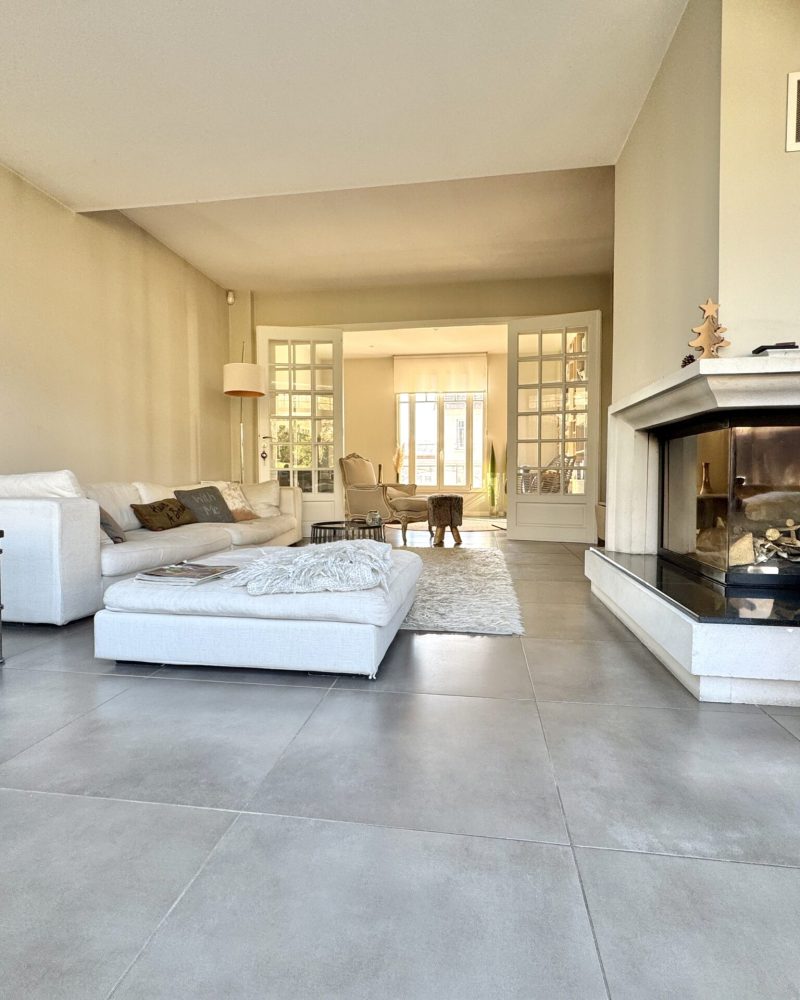 salon cote cheminee